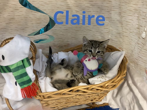 Claire
