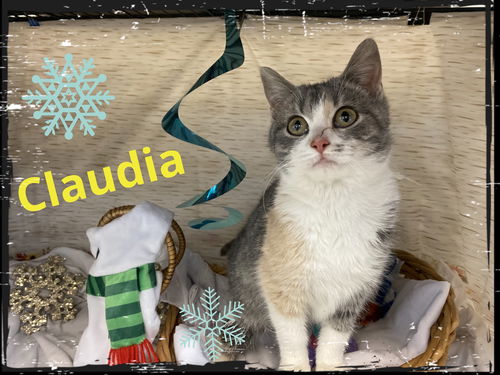 Claudia