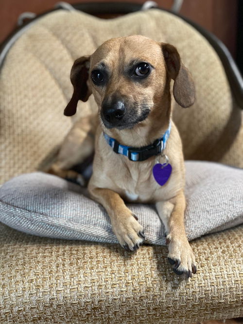 Opie