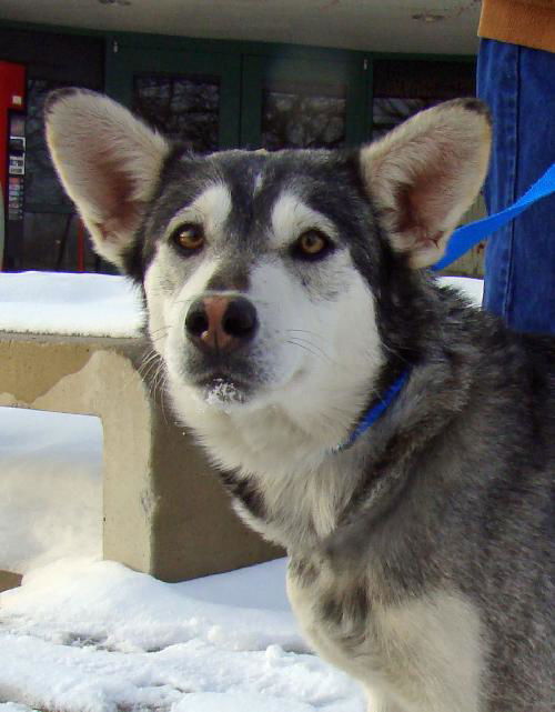 Kita