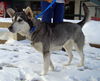 Kita