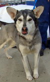 Kita