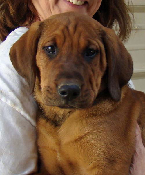 Charlie