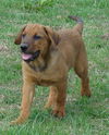 Charlie