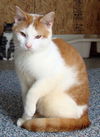 Marvin