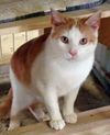 Marvin
