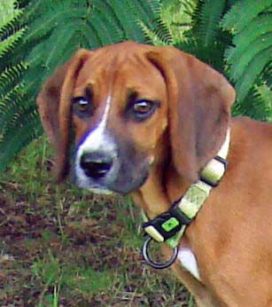 Charlie