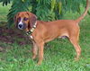 Charlie