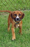 Charlie