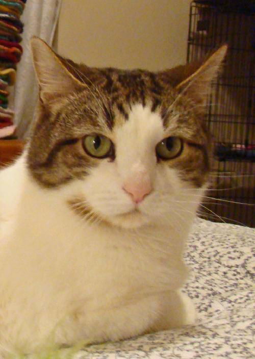 Oscar