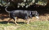 Maxx