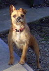 Cheri