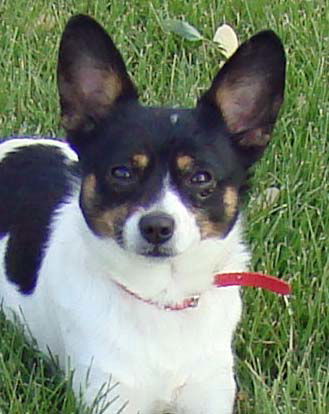 Charlie