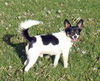 Charlie