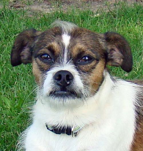Clancy