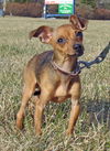 Charlie