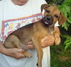 Marcie
