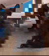 JB