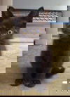 JB