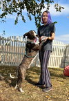 Bojack - Photo 4