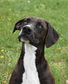 Bubbs - Photo 3
