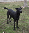 Beckitt - Photo 3