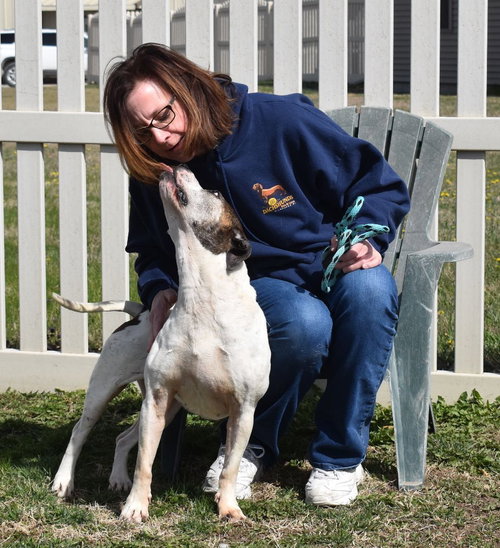 OPAL - Terrier available for adoption