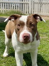 Bree - Photo 2