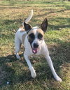 Kona Kay - Photo 3