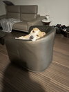 Spike - Photo 3