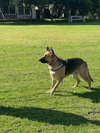 Hennessey - Photo 2