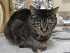 Missy - Photo 6
