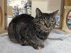 Missy - Photo 7