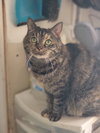 Missy - Photo 3