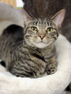 Cesar - Photo 3