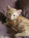 Avery - Photo 3