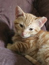 Avery - Photo 4