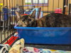 Marmie - Photo 5