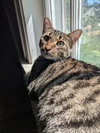 Rosie - Photo 4