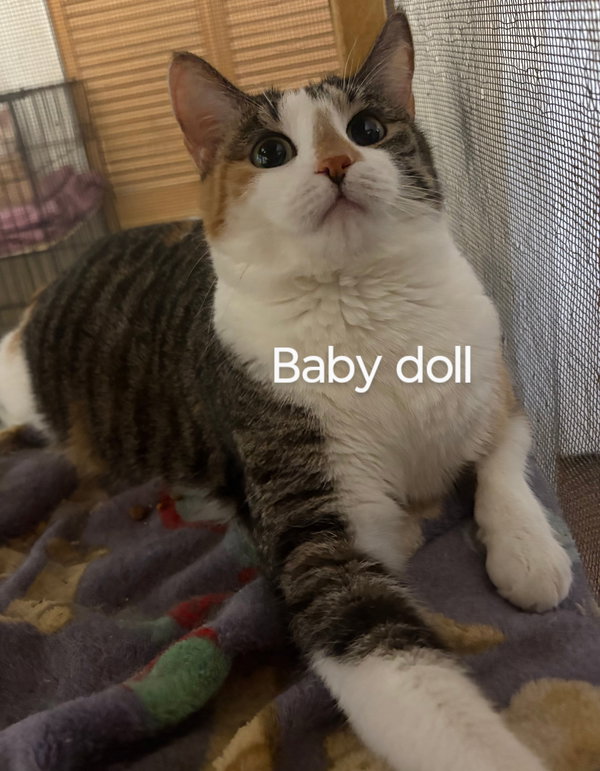 Babydoll