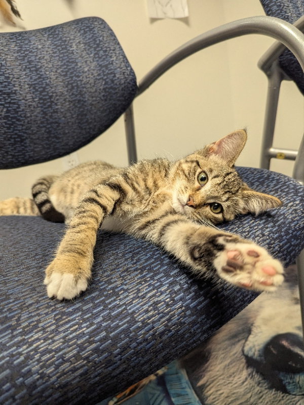 Max