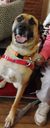 Bandi - Photo 1