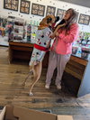 Bandi - Photo 5