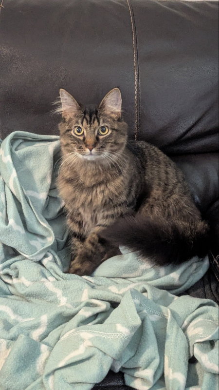 Samson