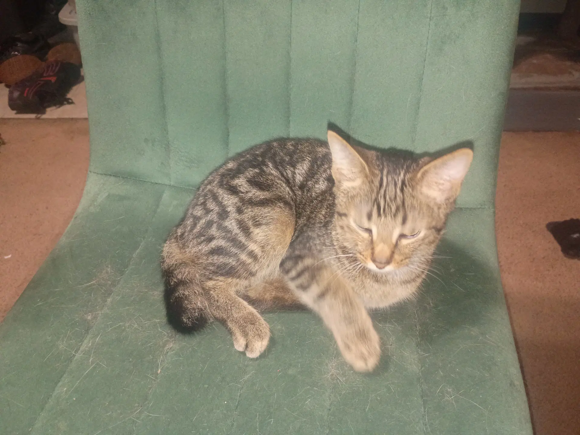 Halfsy image 2