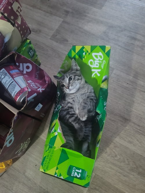 Peanut