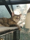Chloe
