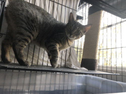Photo 2 of Luna 3542