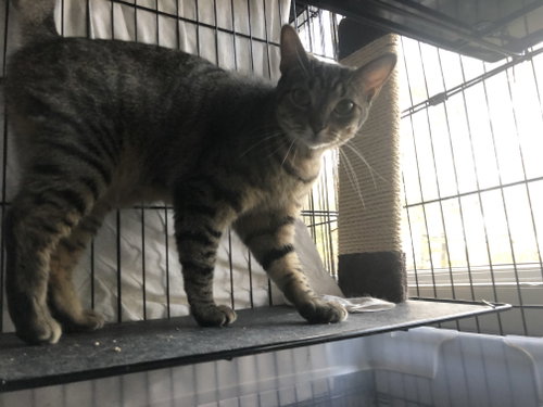 Photo 3 of Luna 3542