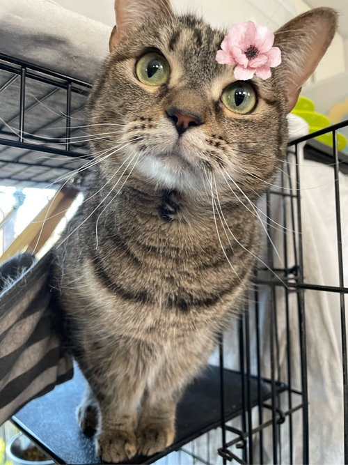 Photo 4 of Luna 3542
